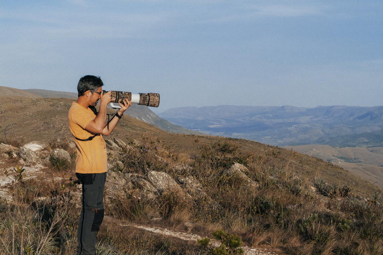 From São Paulo: 5-Day Serra da Canastra Wildlife Safari
