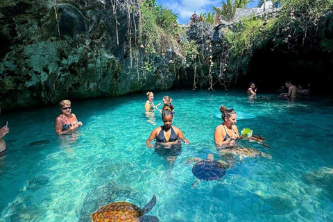 Zanzibar: Jozani Forest & Salaam Cave + Pickup & Entry fees