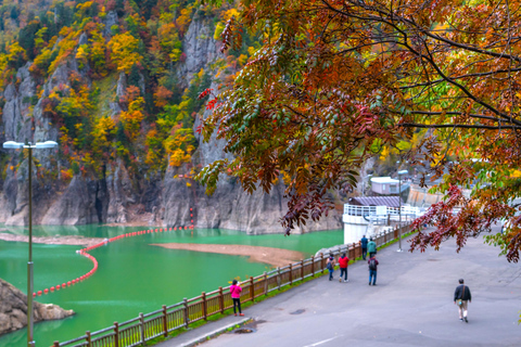 From Sapporo: Hoheikyo Dam, Jozankei & Lake Shikotsu Tour Shared Tour, Meet at Sapporo Station