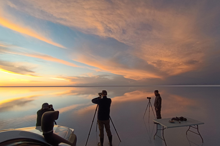 Uyuni: Dagsutflykt till Salt Flats med lunch och solnedgång