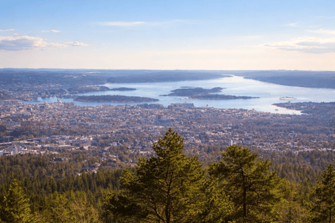 Oslo’s Most Beautiful Fjord Views - light hike version