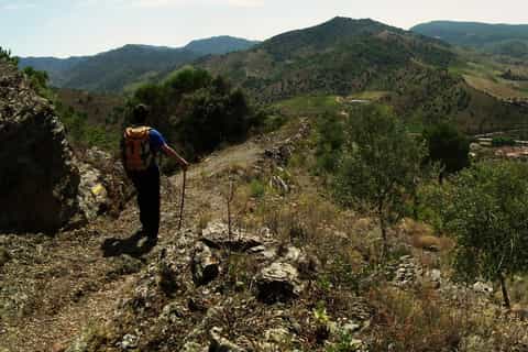 Falset: Private Guided Wine Tour to the Priorat by a Local