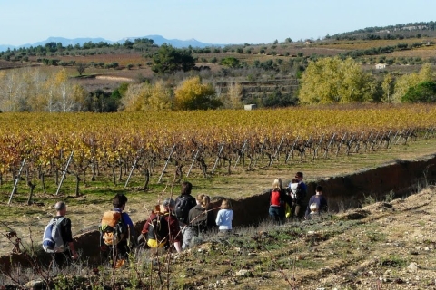 Trek & Wine in Priorat