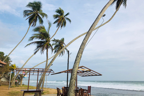 Sri Lanka: 10-tägige Luxustour mit Guide