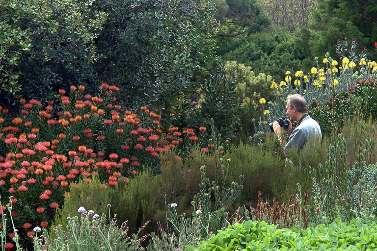 Pássaros e jardins da Cidade do Cabo. Tour particular.