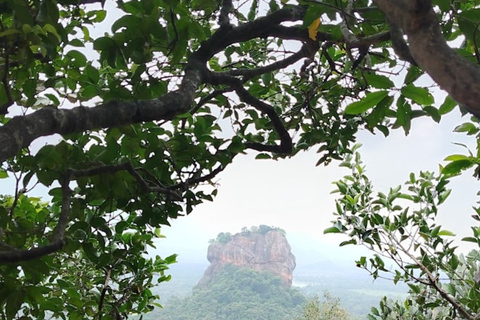 Kandy: Sigiriya and Dambulla Tuk Tuk Safari with Lunch