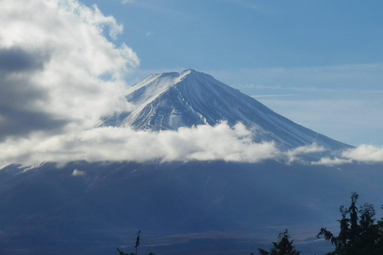 Osaka to Tokyo 3-Day Private Tour: Luxury Alphard & Mt. Fuji