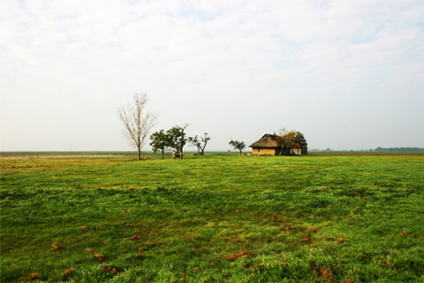 Debrecen and Hortobágy Park: Day Tour from Budapest