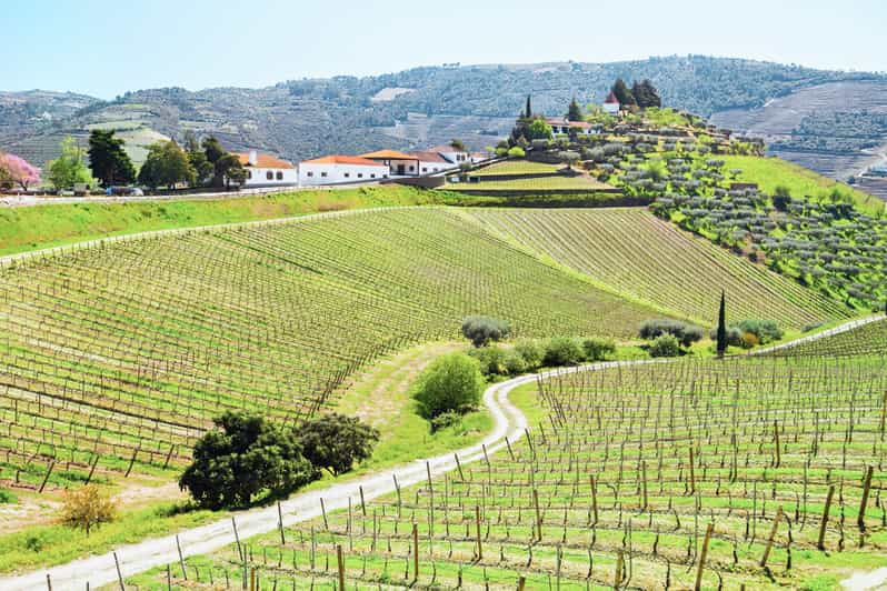 Porto: Tour Della Valle Del Douro Con Degustazione Di Vini, Crociera E ...