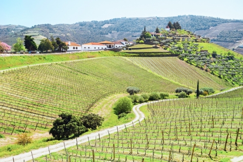 Porto: tour Dourovallei met wijnproeverij, rondvaart & lunchGroepstour in het Portugees met ophaalservice