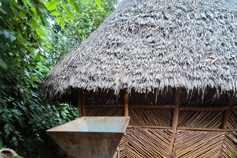 Arusha| Moshi: 3 giorni di escursione sotto le pendici del KilimangiaroArusha| Moshi: 3 giorni di escursione ai piedi del Kilimangiaro