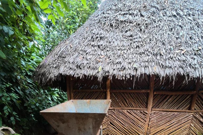 Arusha| Moshi: 3 giorni di escursione sotto le pendici del KilimangiaroArusha| Moshi: 3 giorni di escursione ai piedi del Kilimangiaro