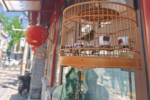 Beijing Hutong Walking Tour: History, Culture and Local Life