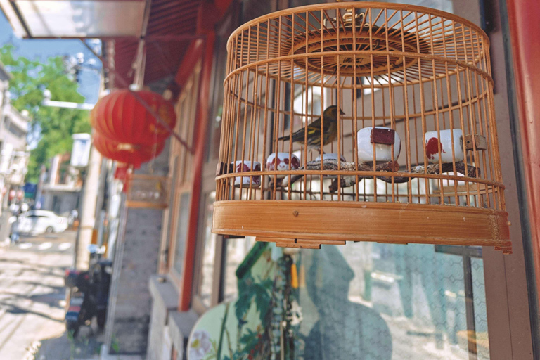 Beijing Hutong Walking Tour: History, Culture and Local Life