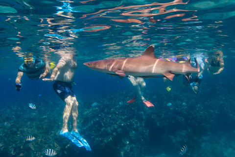 3 night/4 day Fiji Islands Adventure, Culture & Snorkeling Dorm Accommodation