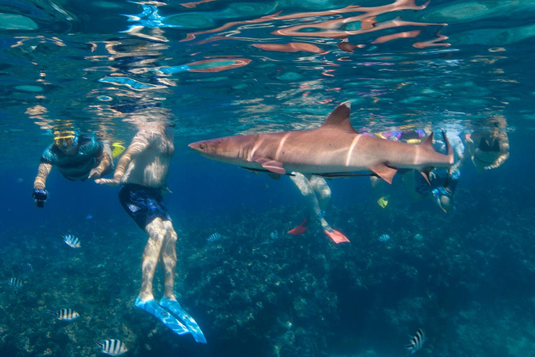 3 night/4 day Fiji Islands Adventure, Culture & Snorkeling Dorm Accommodation