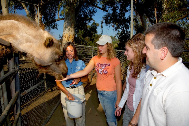 Zoo de San Diego : billet 1 jour