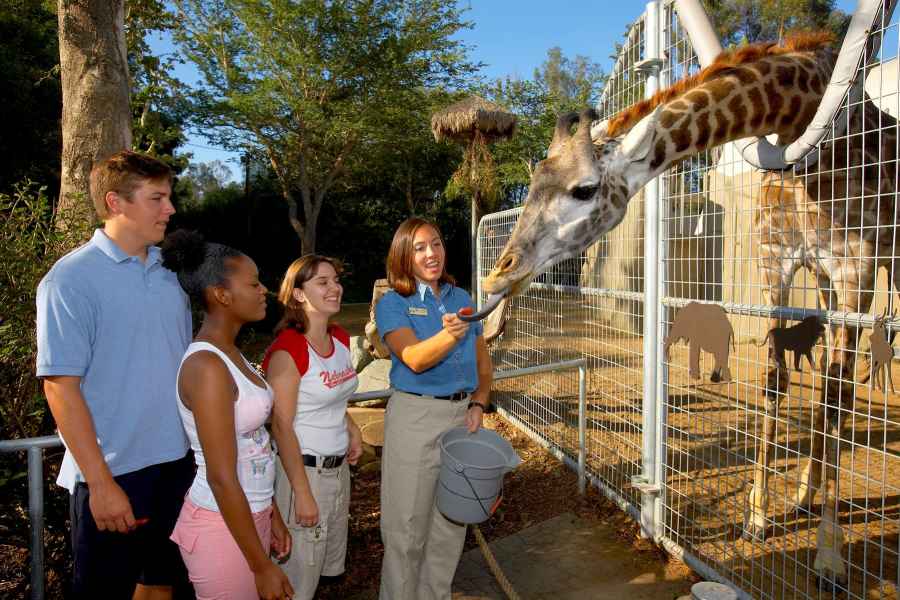 San Diego Zoo: 1-Tagesticket. Foto: GetYourGuide