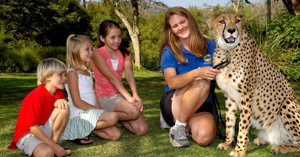 San Diego Zoo Safari Park Tagesticket GetYourGuide