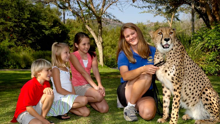 Best Activities in Escondido