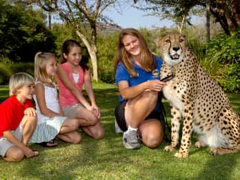 San Diego: San Diego Zoo Safari Park 1-Tagesticket