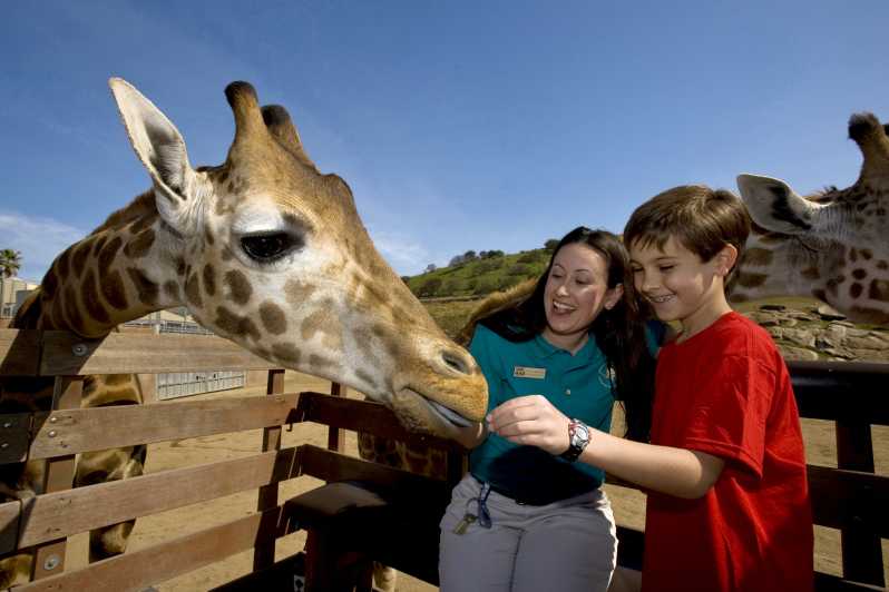San Diego: San Diego Zoo Safari Park 1 Day Ticket GetYourGuide