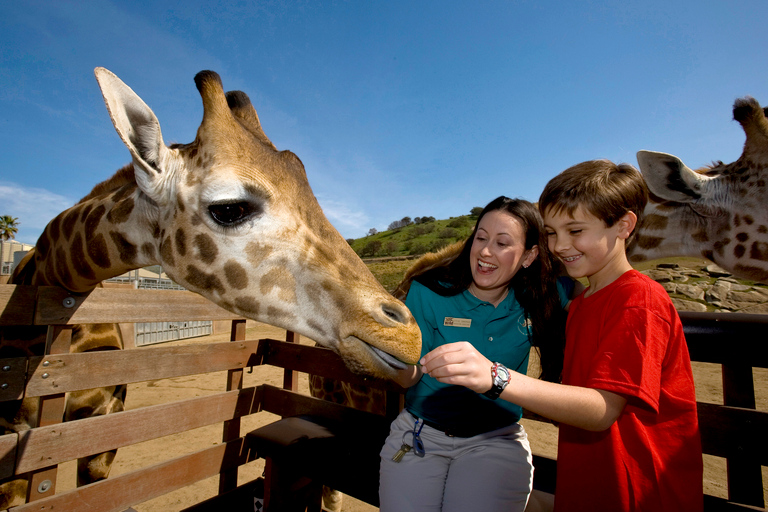 San Diego: Dagsbiljett till San Diego Zoo Safari ParkSan Diego: San Diego zoo safari park 1-dagsbiljett