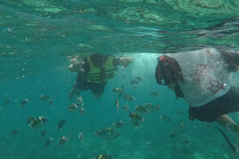 phi phi eiland: Halve dag lange - staart rondvaartphi phi :Pileh, Loh Samah Bay, Maya Bay Longtail Boottocht