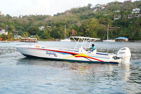 Excursion à Sainte-Lucie : Excursion en mer pour visiter Soufriere