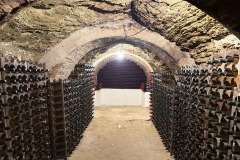 Authentic Rioja Wine Tasting in a Village near Logroño