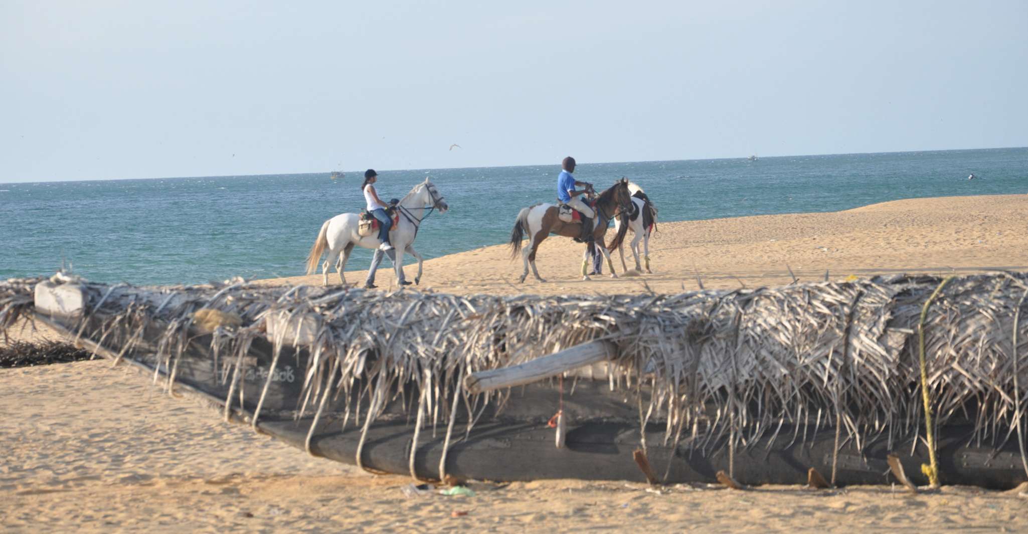 Half-Day Horse Riding in Kalpitiya - Housity