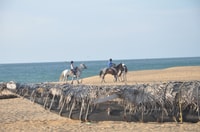 Équitation d'une demi-journée dans l'est - Housity