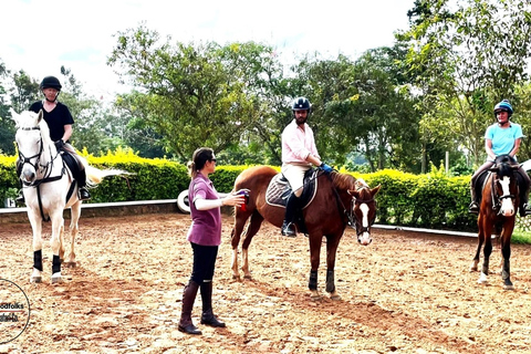 UGANDA - KWIKSTAARTEN - PAARDENKNUFFELS - DIERENTUINVERHALEN - MINISAFARI