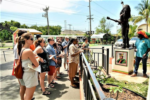 Entrada y tour guiado de Bob Marley&#039;s Nine Mile desde Monteg