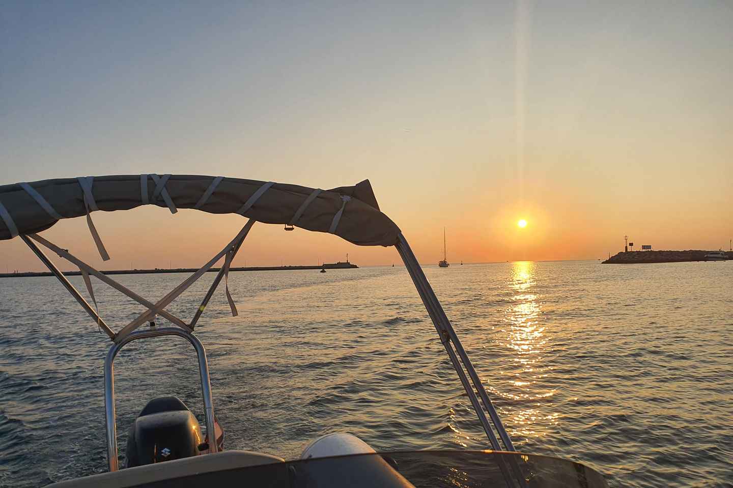 Dolphínusafari á hverju kvöldi