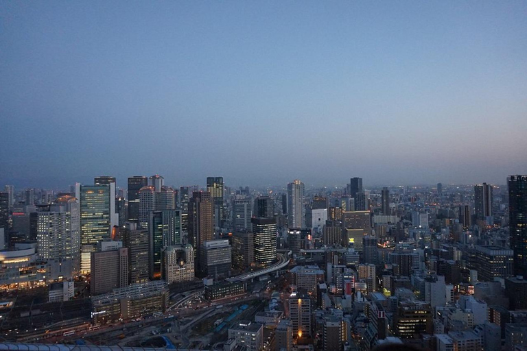 Les secrets les mieux gardés d&#039;Osaka : Visite guidée privée