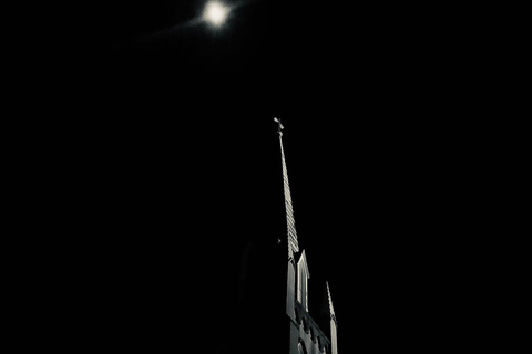 Savannah: Deathly Debutantes wandeltour met gidsSavannah: rondleiding &#039;Deathly Debutantes&#039; met gids