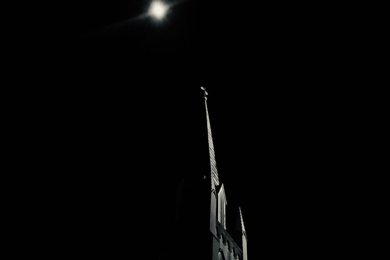 Savannah: Deathly Debutantes wandeltour met gidsSavannah: rondleiding &#039;Deathly Debutantes&#039; met gids