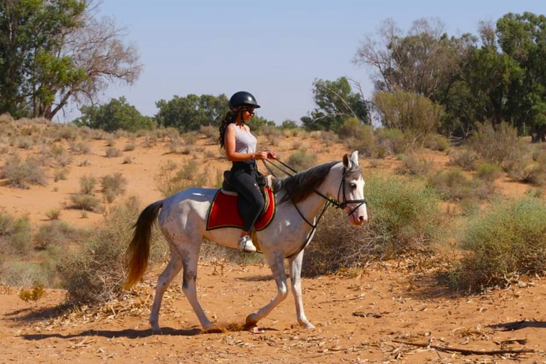 Agadir: Private Coco Polizzi Medina & Horse Ride
