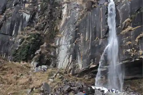 Manali Nature Walk (3 Hours Guided Trekking Experience)