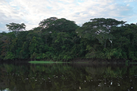 Dia inteiro na Reserva Pacaya Samiria | Vida selvagem