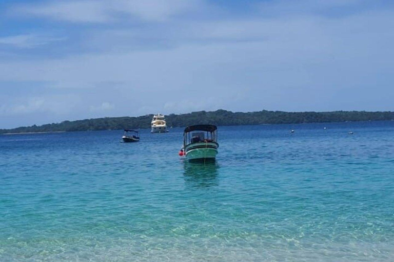 Panama City: Whale Watching Tour with Island Stop