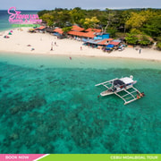 Ultimate Moalboal Sardine Run & Sea Turtle Adventure
