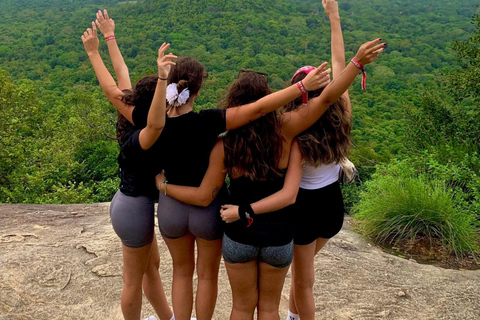 Kandy: Dambulla, Sigiriya, and Village Safari Day Tour