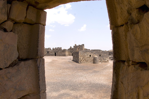 Excursión de un día a los famosos Castillos del Desierto