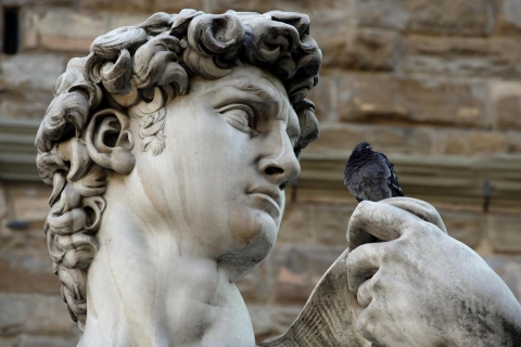 Florence: sla de rij over Accademia Gallery overTour in het Italiaans