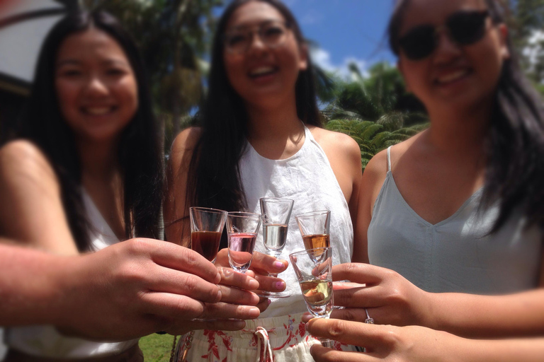 Départ de la Gold Coast : Excursion d&#039;une journée à la découverte de la montagne Tamborine