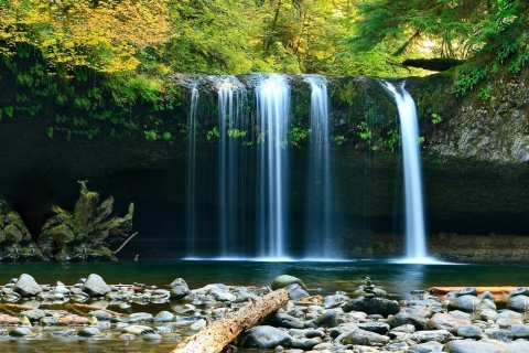 Ontdek de natuurlijke wonderen: verken de top 4 watervallen