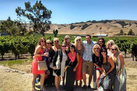 San Francisco: Minibus Wine Tour of Napa & Sonoma Valleys