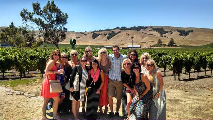 san francisco minibus wine tour of napa sonoma valleys
